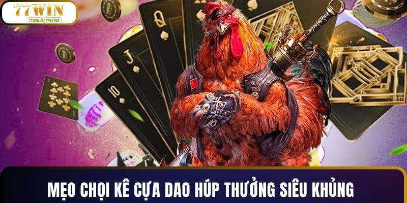 Mẹo chọi kê cựa dao húp thưởng siêu khủng