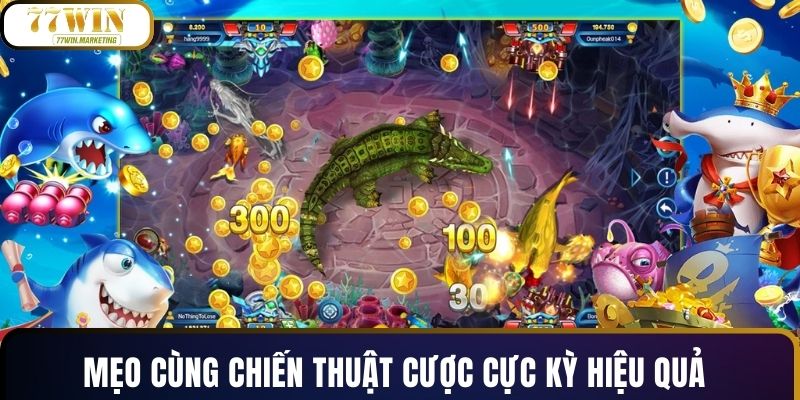 Mẹo cùng chiến thuật cược cực kỳ hiệu quả