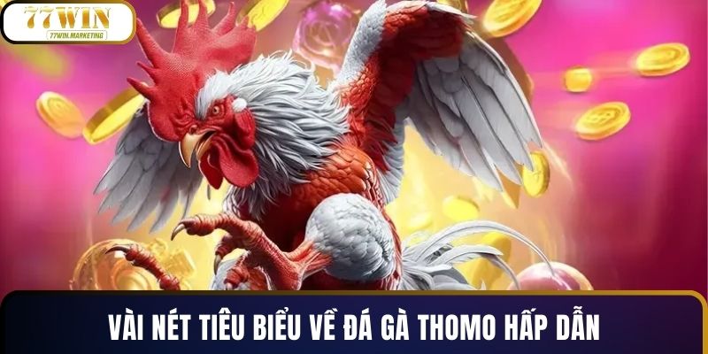 Vài nét tiêu biểu về đá gà Thomo hấp dẫn